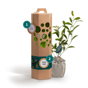 zakelijk-boomgeschenk-geschenk-met-verhaal-logo