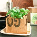 gmv-collectie-let-it-grow-3